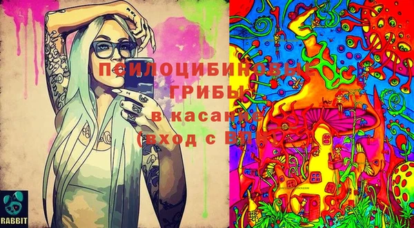 СК Алексеевка
