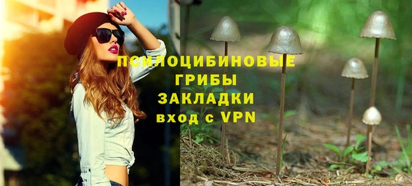 СК Алексеевка